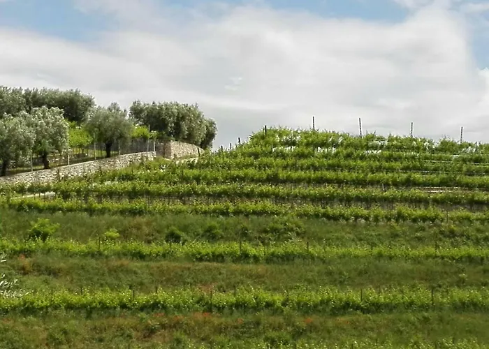 Oda ve Kahvaltı Corte Giare